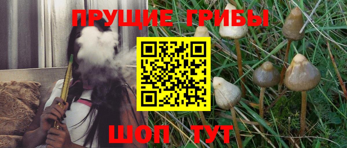 Псилоцибиновые грибы Magic Shrooms  Псилоцибиновые грибы MAGIC MUSHROOMS  Копейск  Вход с VPN 